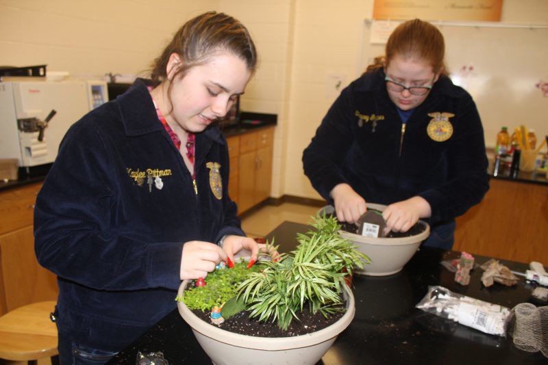 FFA-girls01.jpg
